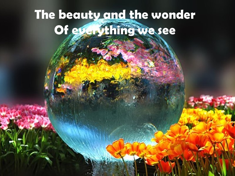 The beauty and the wonder Of everything we see